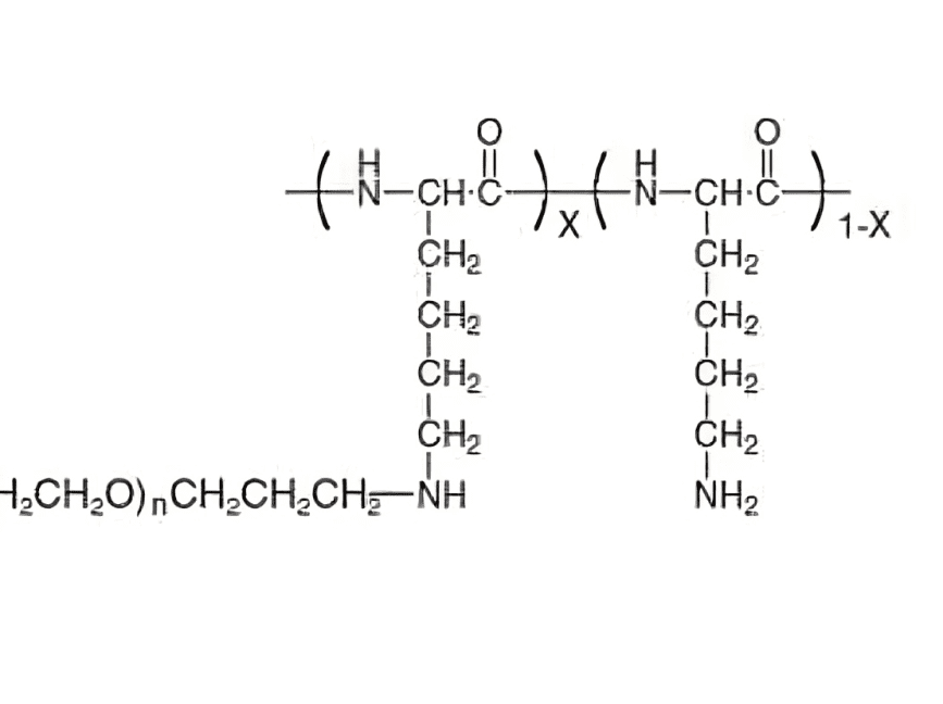 A picture of the structure of an amino acid.