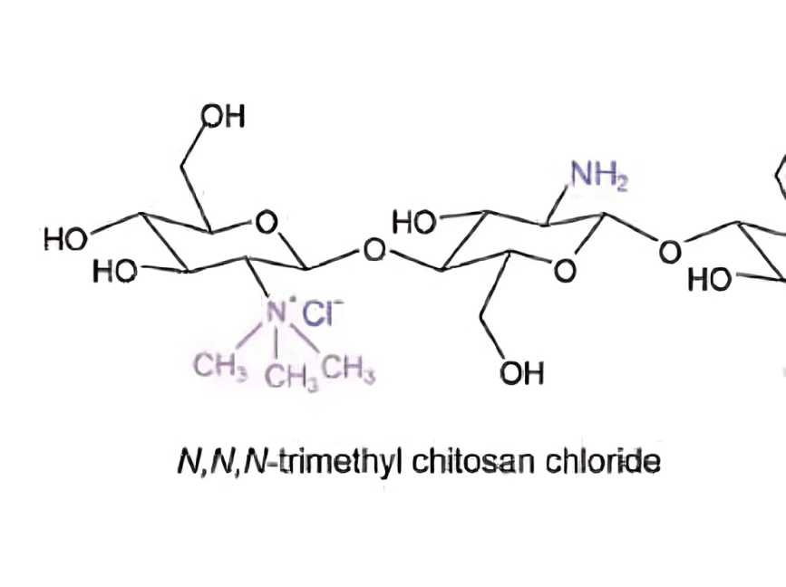 A drawing of the structure of an amino acid.