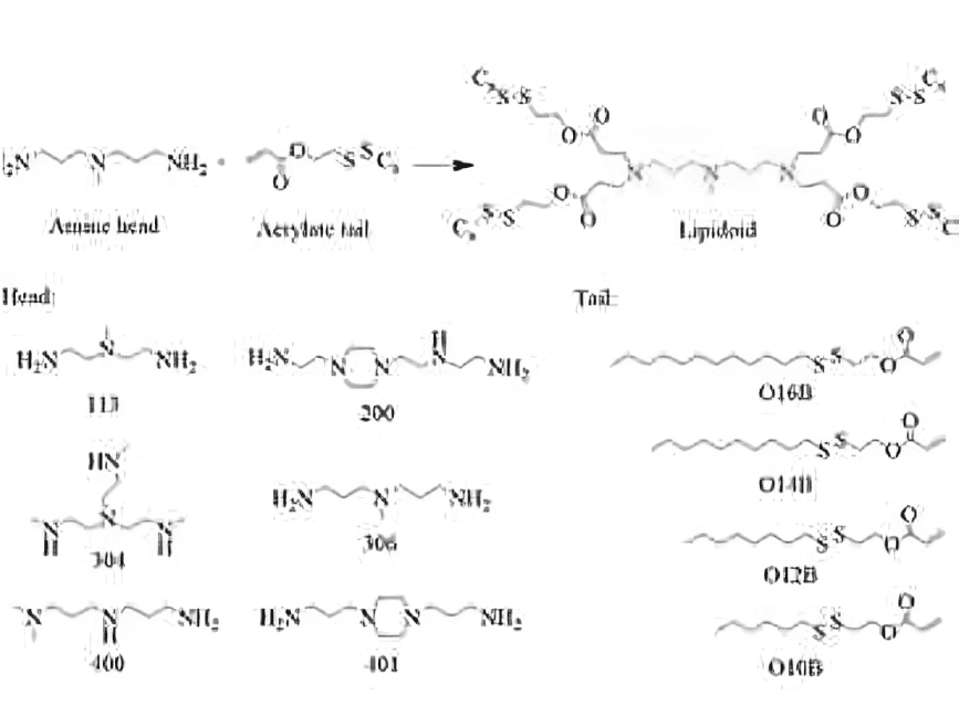 A series of chemical formulas are shown.