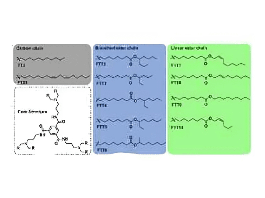 A series of images showing different types of molecules.