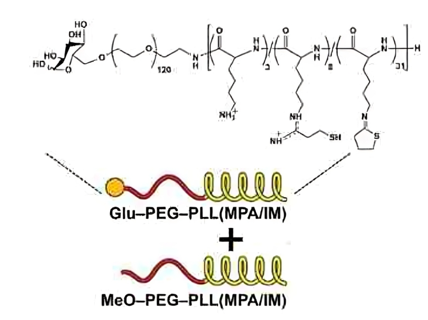 A diagram of the structure of an enzyme.