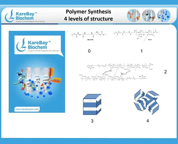 A picture of the four levels of structure in this book.